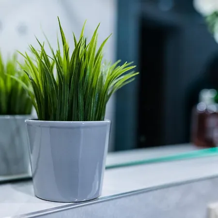 Sky Symphony 瓦爾納