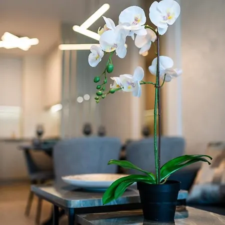 Sky Symphony Apartment *